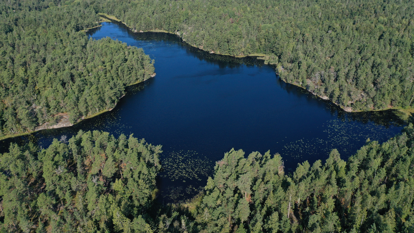 Motion: Avbryt detaljplanearbetet i Brunn i enlighet med folkviljan