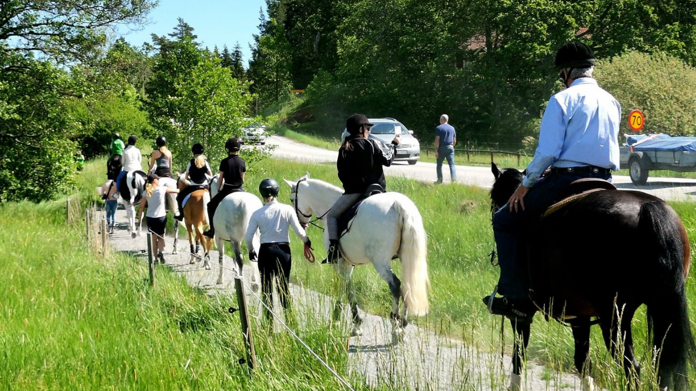 Moderaterna kräver ordentliga underlag inför beslut om köp av ridanläggningen i Gustavsberg 